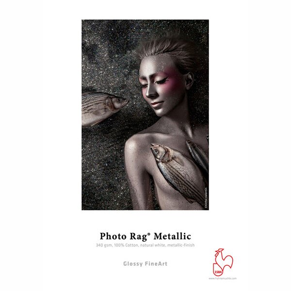 13 in. x 19 in. Hahnemuhle Photo Rag Metallic 340 gsm 10641765