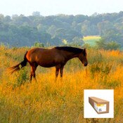 Kodak Water Resistant Removable Vinyl 6 mil