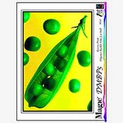 Magic DMBP5 Universal Ink Jet Backprint Film 5 mil