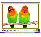 Magic DMVB15 Scrim Vinyl Banner 16 mil