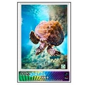 Magic FAB6 Polyester Woven Fabric 6.8 mil