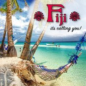 Pro Self-Adhesive Matte Polypro with Anti-Slip Liner 8 mil (806)