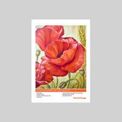 IFA18 Innova Smooth Cotton High White 100% Cotton 450 gsm