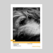 IFA72 Innova Photo Metallic Lustre 260 gsm