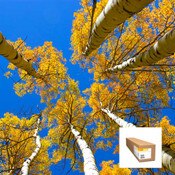 Kodak Universal Self-Adhesive Satin Poly Poster 7 mil