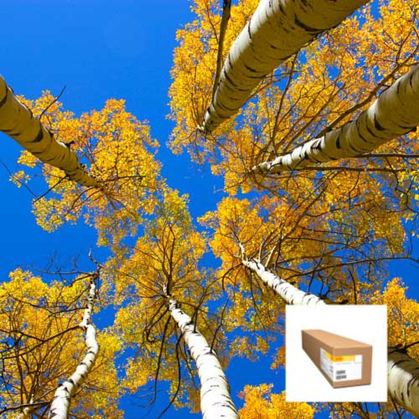 Kodak Universal Self-Adhesive Satin Poly Poster 7 mil