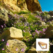 Kodak PROFESSIONAL Inkjet Textured Fine Art Paper 315 gsm