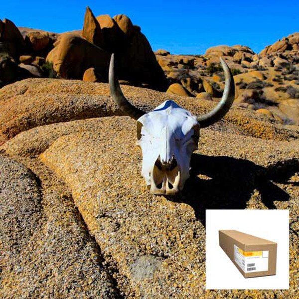 Kodak PROFESSIONAL Inkjet Artist Canvas Matte 378 gsm