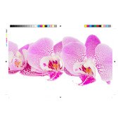 Magic PROLINEC2SMATTE 2-Sided Imposition Paper 4.5 mil